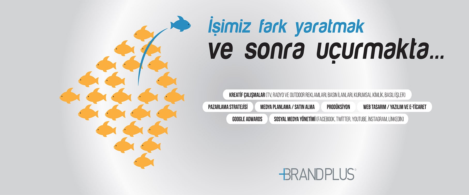 brandplus